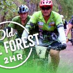 Old Pine Forest 2hr event