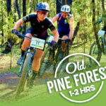 Old Pine Forest race image